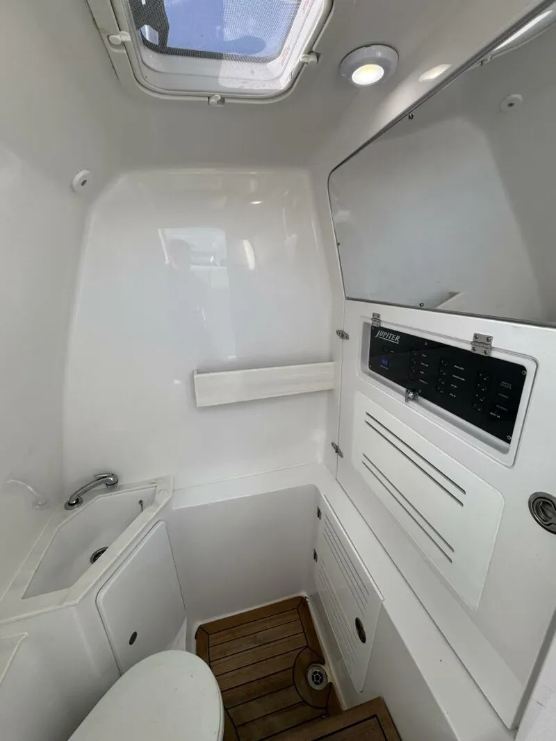 Slide: The Image of Jupiter 38 HFS 2024 - 5968146