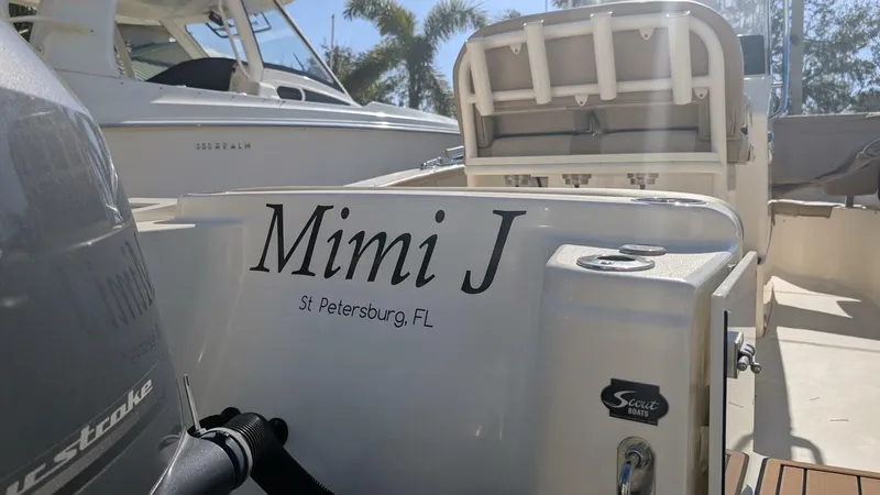 Slide: The Image of Scout 215xsf 2019 - 5967820