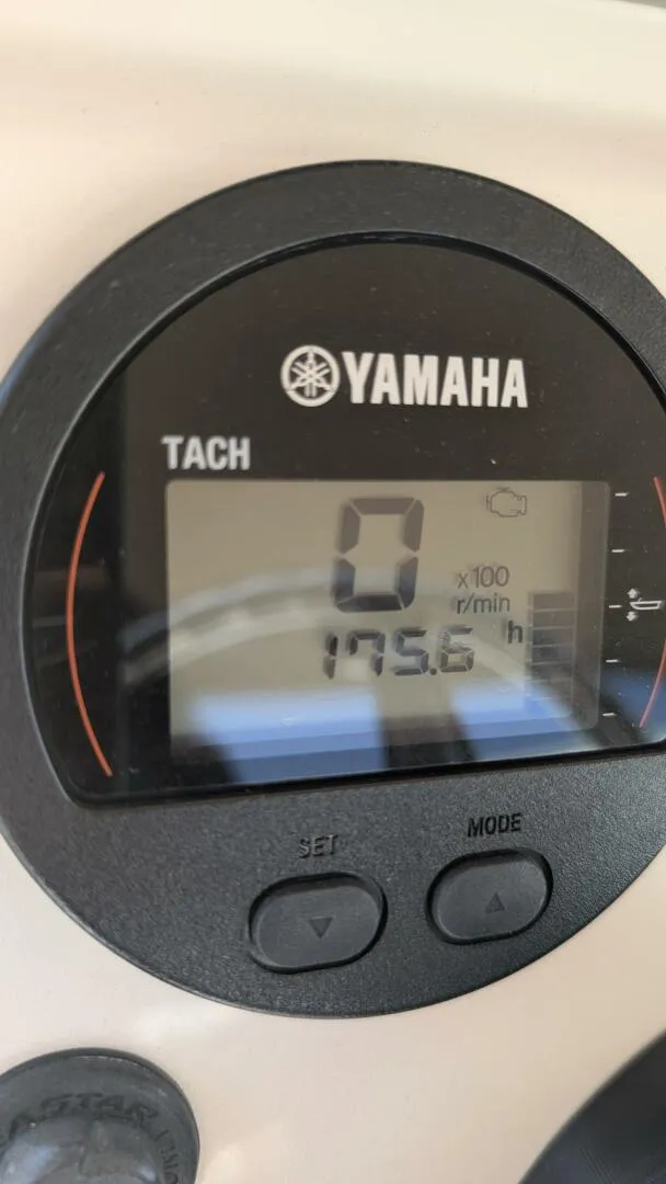 Slide: The Image of Scout 215xsf 2019 - 5967779