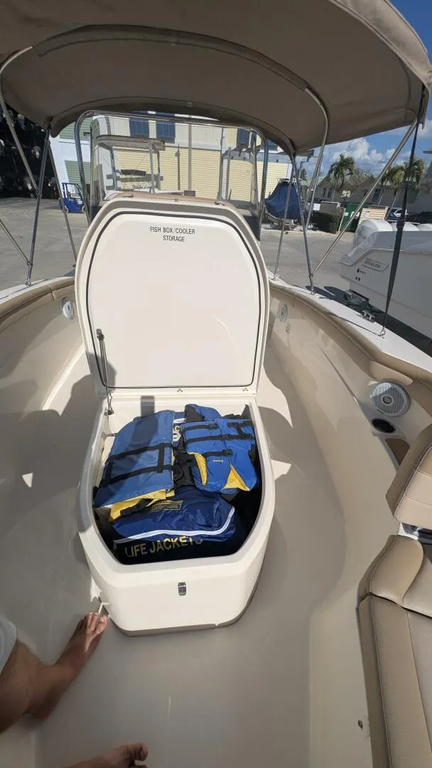 Slide: The Image of Scout 215xsf 2019 - 5967798