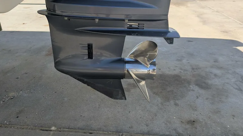 Slide: The Image of Scout 215xsf 2019 - 5967822