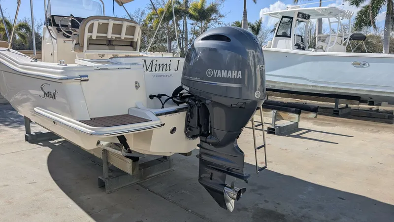 Slide: The Image of Scout 215xsf 2019 - 5967808