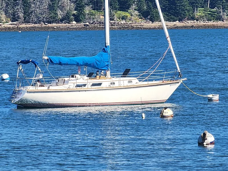 The Image of Bristol 35.5C 1980 - 5971323