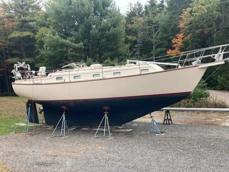 Slide: The Image of Island Packet 37 1995 - 5972641