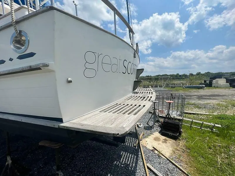 Slide: The Image of 0003800443 - 5972789