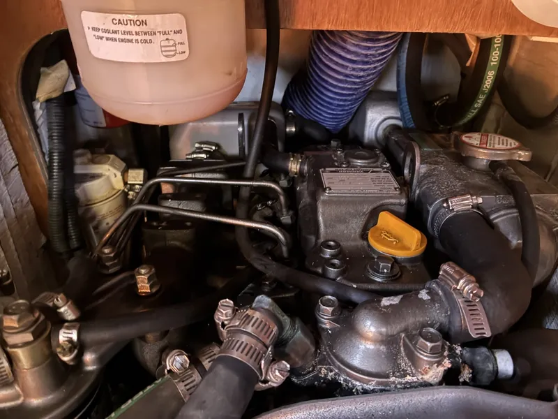 Slide: The Image of Hunter 38 2008 - 6005628