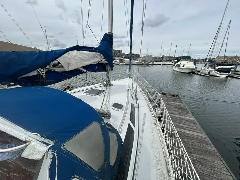 Slide: The Image of 1995 Catalina 320 Study Hull - 5974370