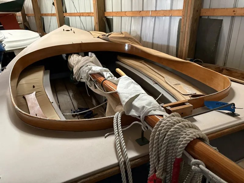 Slide: The Image of Howard Fisher Cat 14 2012 - 5975195