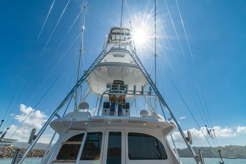 Slide: The Image of 2025 Viking 46 Billfish "Release Me" - Tower - 5975505