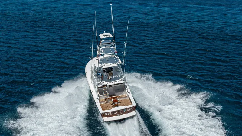 Slide: The Image of 2025 Viking 46 Billfish "Release Me" - 6424156