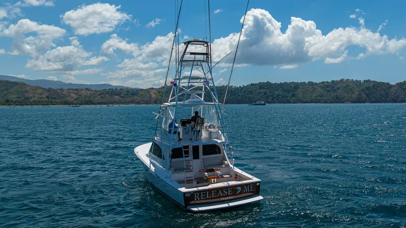 Slide: The Image of 2025 Viking 46 Billfish "Release Me" - 5975685