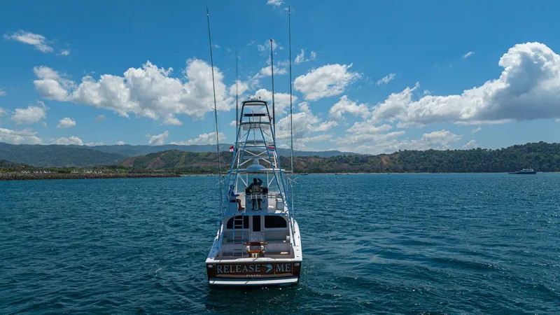 Slide: The Image of 2025 Viking 46 Billfish "Release Me" - 5975686