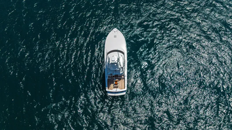 Slide: The Image of 2025 Viking 46 Billfish "Release Me" - 5975687