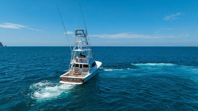 Slide: The Image of 2025 Viking 46 Billfish "Release Me" - 5975689