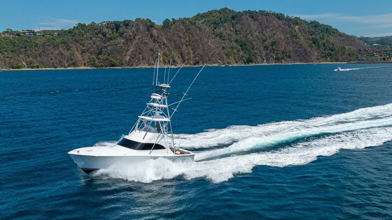 Slide: The Image of 2025 Viking 46 Billfish "Release Me" - Running - 5975693
