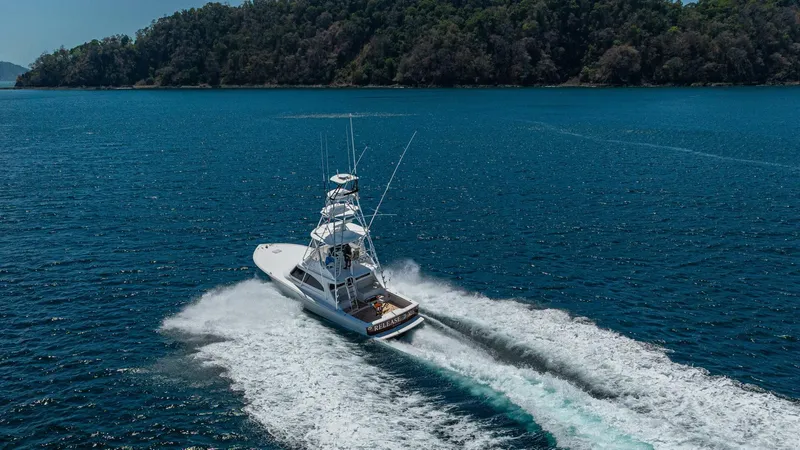 Slide: The Image of 2025 Viking 46 Billfish "Release Me" - Running - 5975697