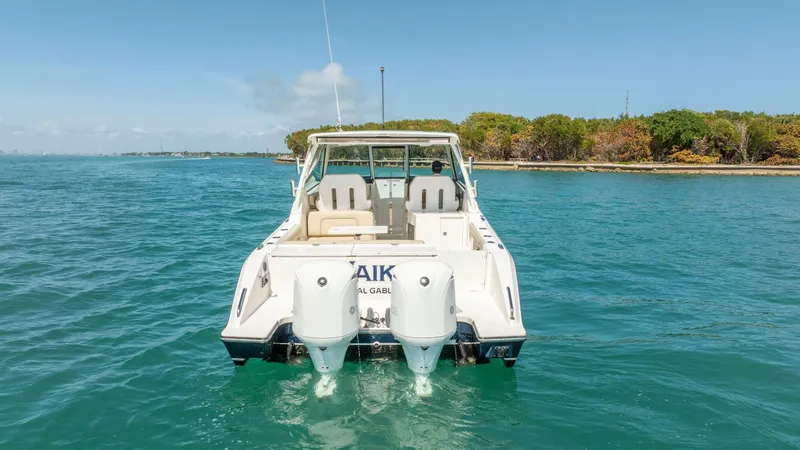 Slide: The Image of Pursuit DC 325 2017 - 5975831