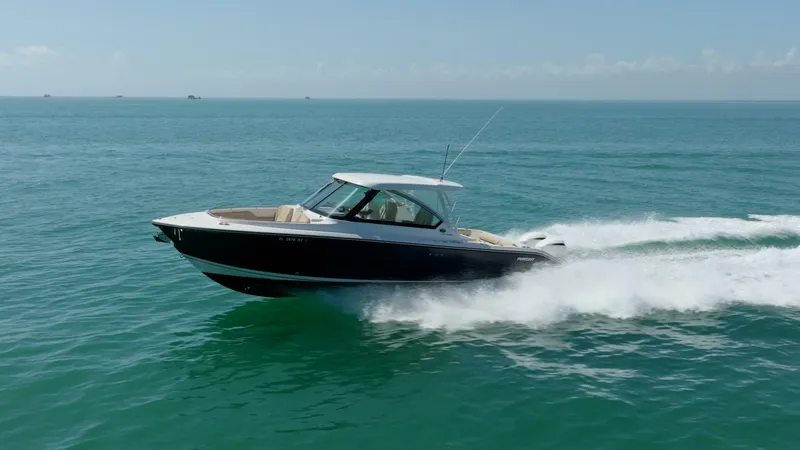 Slide: The Image of Pursuit DC 325 2017 - 5975801