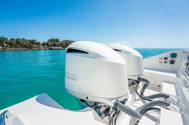 Slide: The Image of Pursuit DC 325 2017 - 5975865