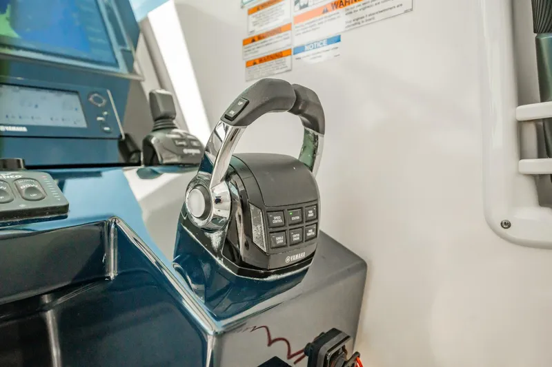 Slide: The Image of Pursuit DC 325 2017 - 5975870