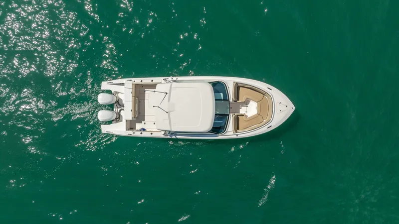 Slide: The Image of Pursuit DC 325 2017 - 5975900