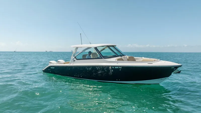 Slide: The Image of Pursuit DC 325 2017 - 5975904