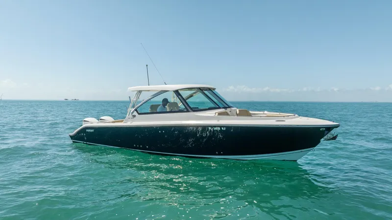 Slide: The Image of Pursuit DC 325 2017 - 5975905