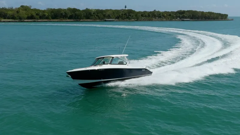 Slide: The Image of Pursuit DC 325 2017 - 5975912