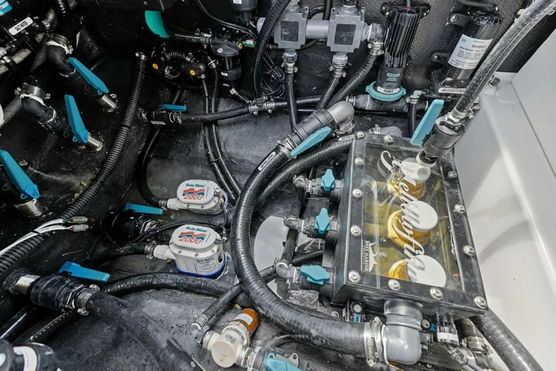 Slide: The Image of 2024 42 Yellowfin - 5975947