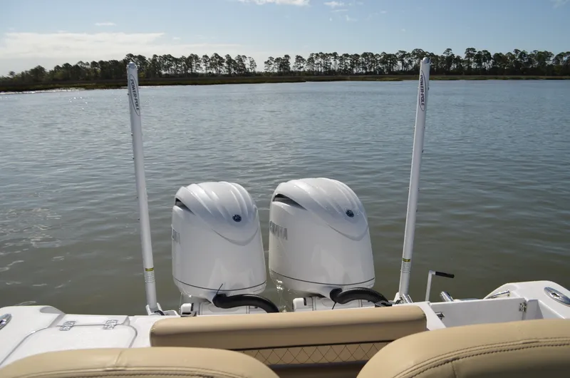 Slide: The Image of Sportsman 252 - 6018484