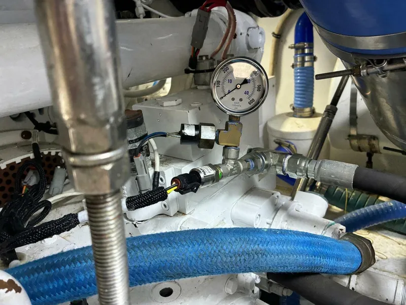 Slide: The Image of Buddy Davis SPORTFISH 2001 - 6041592