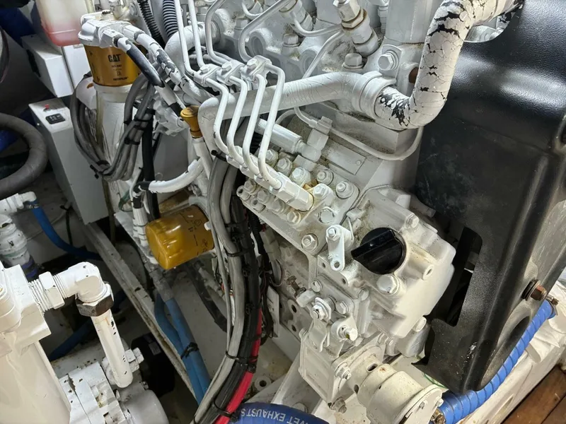 Slide: The Image of Buddy Davis SPORTFISH 2001 - 6041605