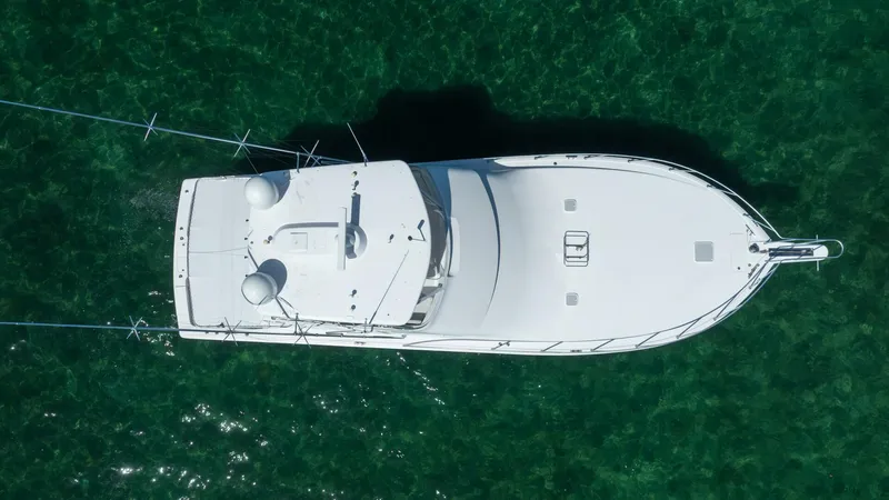 Slide: The Image of Viking 52 Convertible 2006 - 5976076