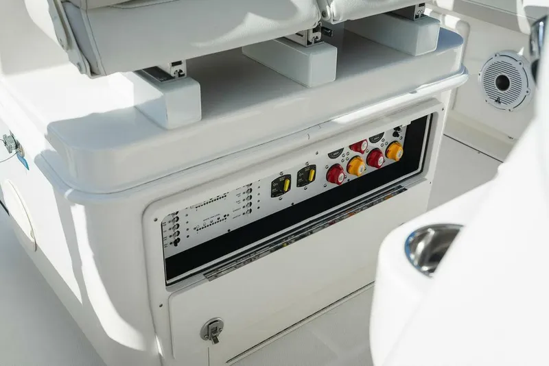 Slide: The Image of World Cat 295 2024 - 5980657