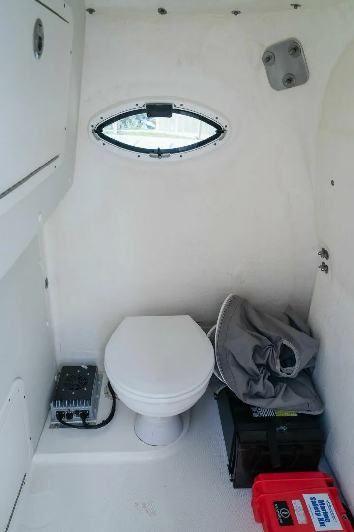 Slide: The Image of World Cat 295 2024 - 5980658