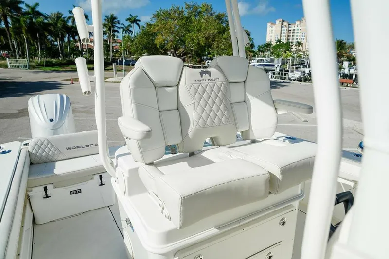 Slide: The Image of World Cat 295 2024 - 5980659