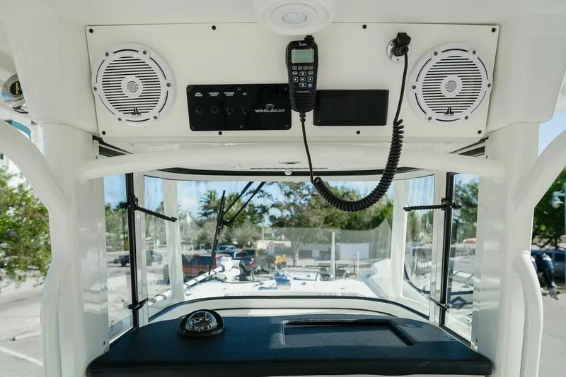 Slide: The Image of World Cat 295 2024 - 5980661