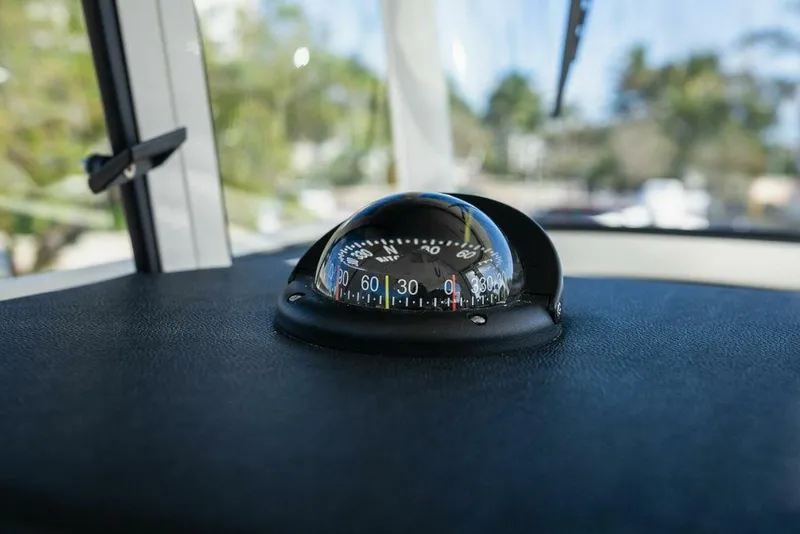 Slide: The Image of World Cat 295 2024 - 5980664