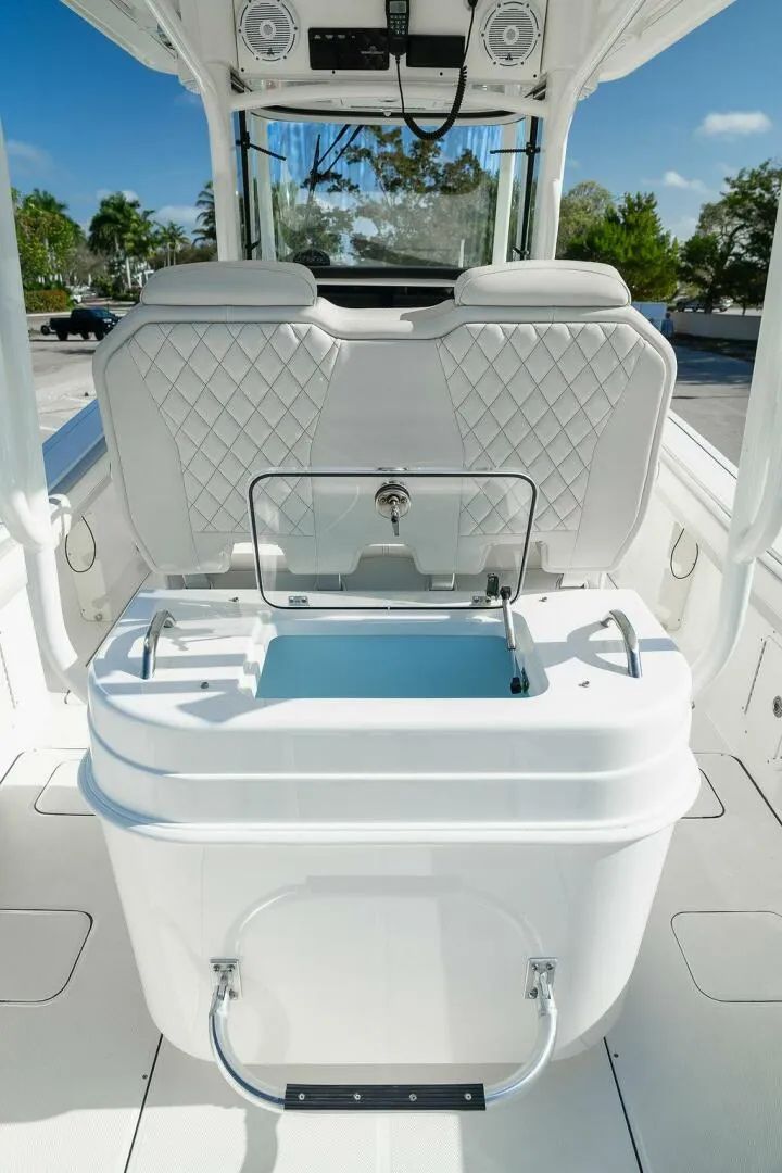 Slide: The Image of World Cat 295 2024 - 5980665