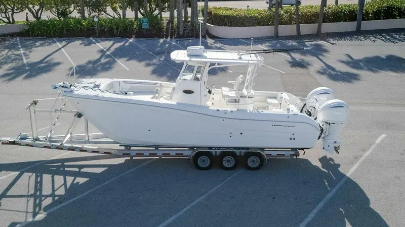 Slide: The Image of World Cat 295 2024 - 5980647