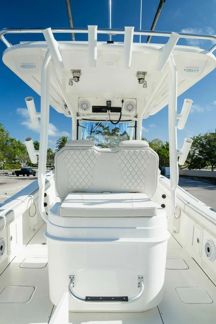 Slide: The Image of World Cat 295 2024 - 5980666