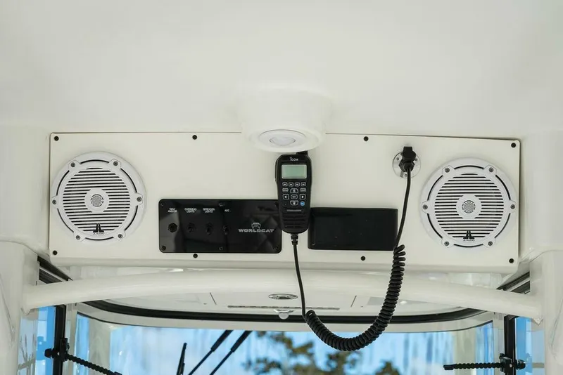 Slide: The Image of World Cat 295 2024 - 5980667