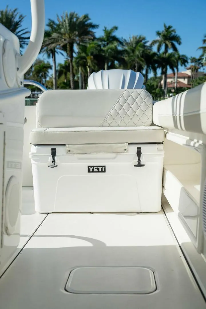 Slide: The Image of World Cat 295 2024 - 5980670