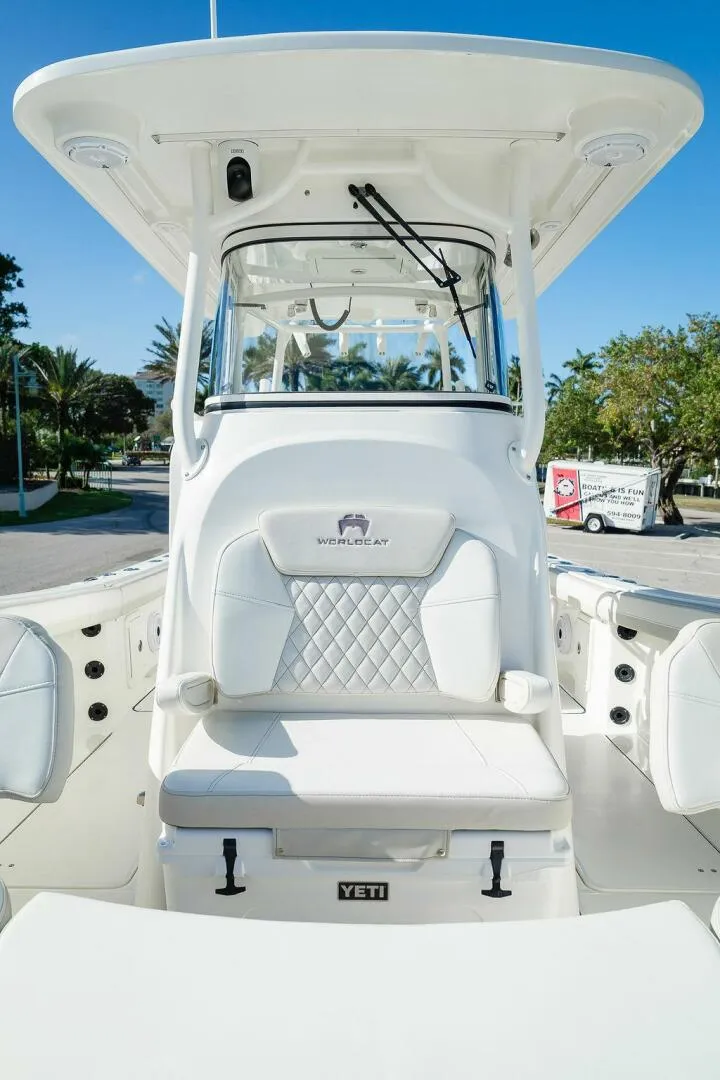 Slide: The Image of World Cat 295 2024 - 5980672