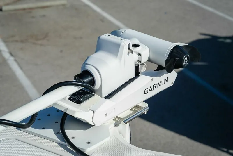 Slide: The Image of World Cat 295 2024 - 5980675