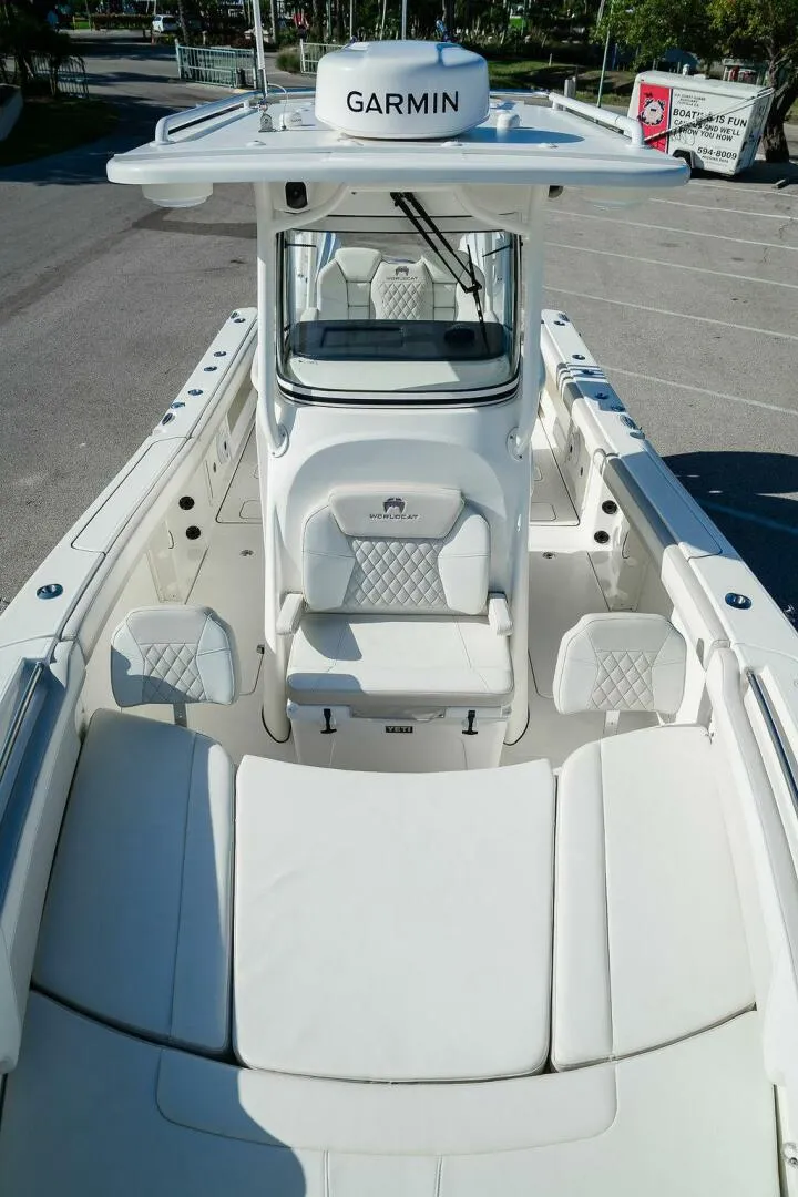 Slide: The Image of World Cat 295 2024 - 5980677