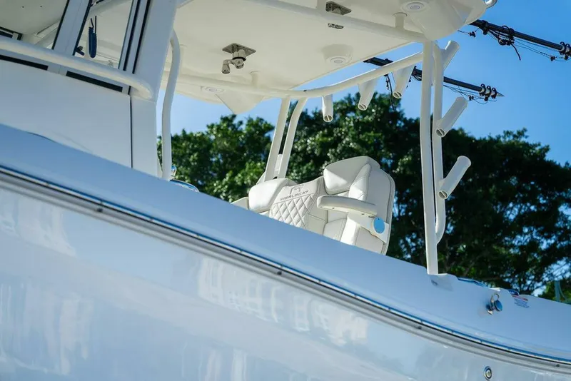 Slide: The Image of World Cat 295 2024 - 5980680