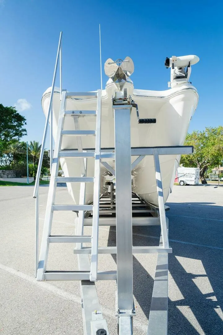 Slide: The Image of World Cat 295 2024 - 5980682