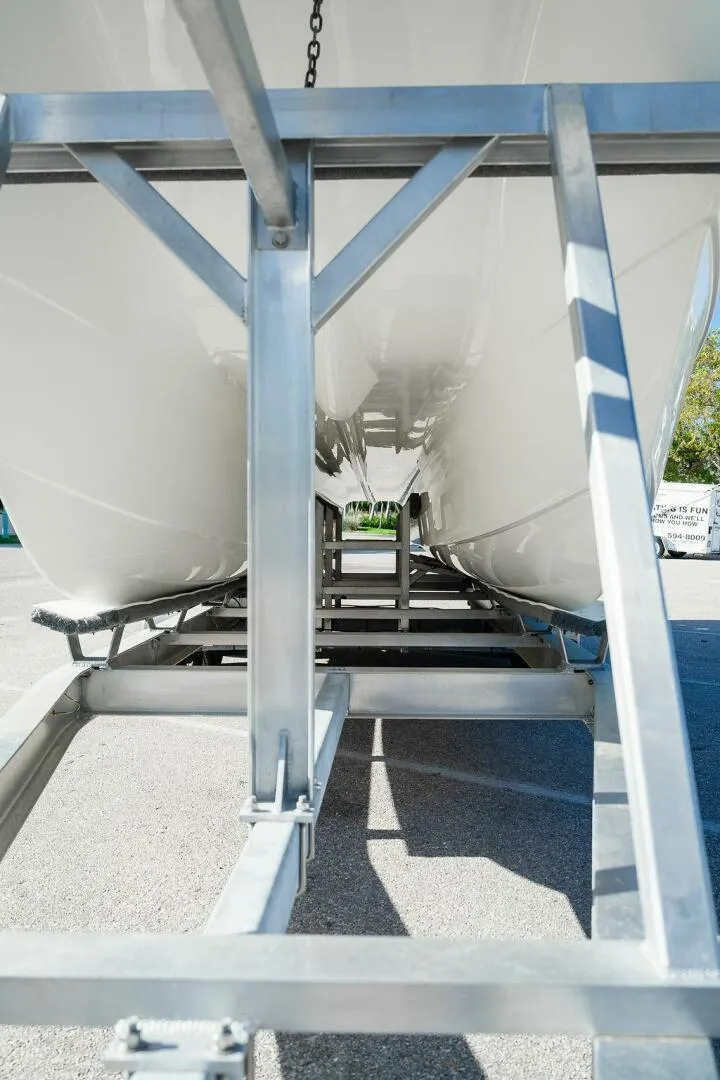 Slide: The Image of World Cat 295 2024 - 5980683