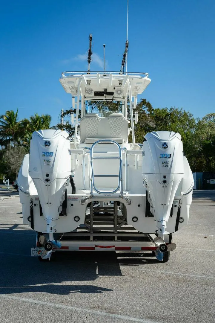 Slide: The Image of World Cat 295 2024 - 5980684